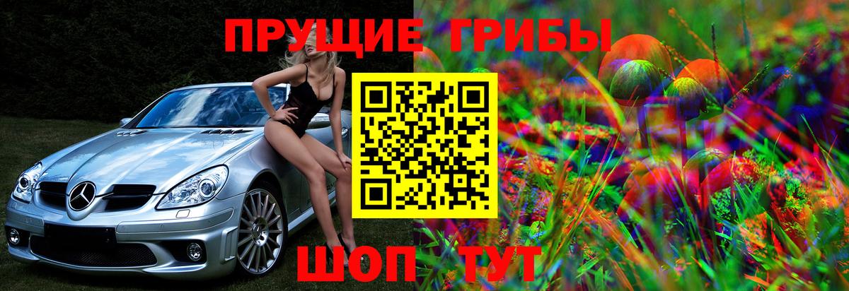 Псилоцибиновые грибы MAGIC MUSHROOMS  Вход с VPN  Галлюциногенные грибы GOLDEN TEACHER  Приморско-Ахтарск 